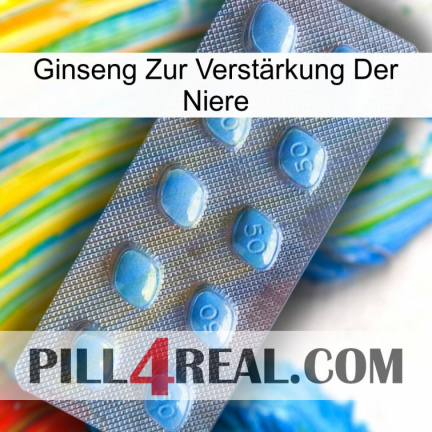 Ginseng Zur Verstärkung Der Niere viagra3